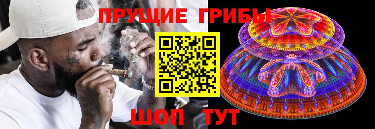 Псилоцибиновые грибы Cubensis Строитель